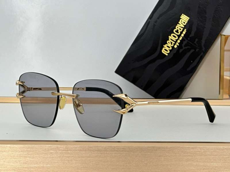Picture of Roberto Cavalli Sunglasses _SKUfw55481745fw